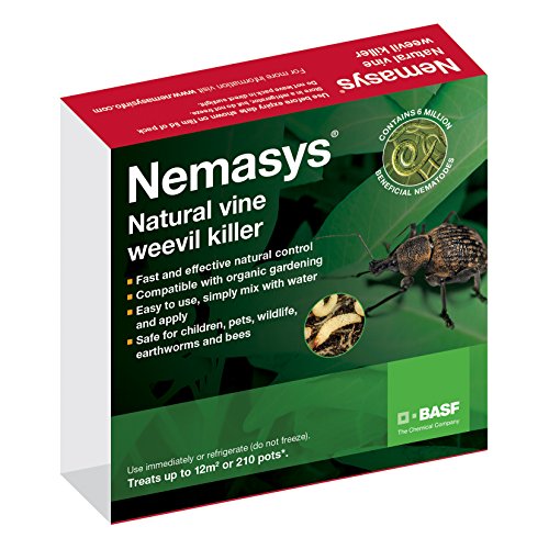 Nemasys vine weevil killer standard pack