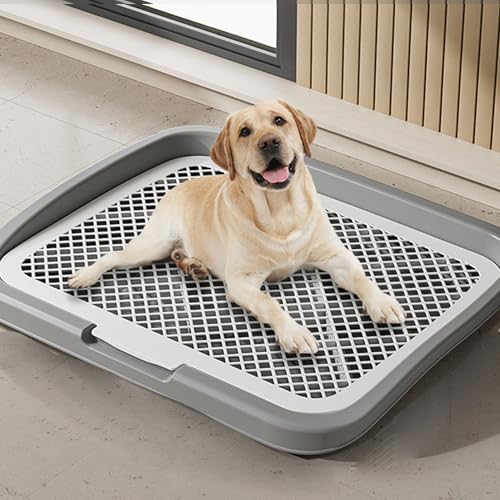 Bac à litière pour chien robuste et support de coussin chiot