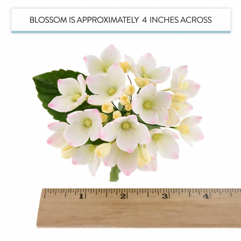 Miniatura 3 de Global Sugar Art Hortensia Blossoms Sugar Cake Flowers Spray BlancoRosa, 4 unidades por Chef Alan Tetreault