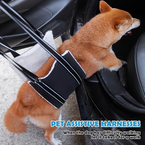 Ziyonix Weiche Hunde Tragehilfe, Mittelgroße und Große Hund Rehabilitation Tragegurt Einstellbare Tragehilfe Treppenhilfe und Unterstützungsgeschirr für Behinderte Verletzte Ältere Hunde (L)