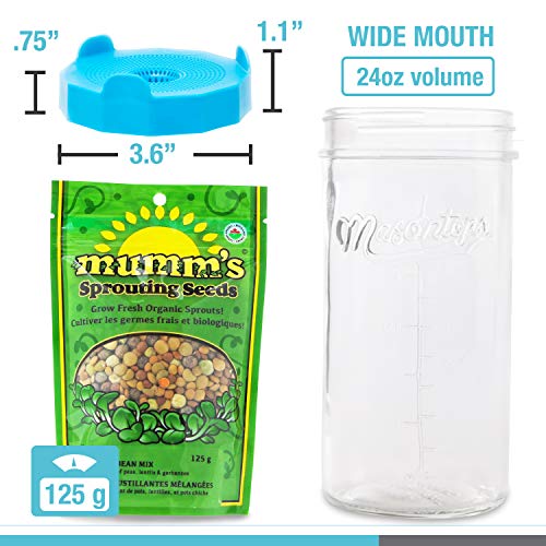 Masontops Complete Bean Sprouting Kit - 2 Mason Jars, 2 Bean Screen Sprouting Lids & 2 Sprout Seed Mixes - Wide Mouth - Thumbnail 5