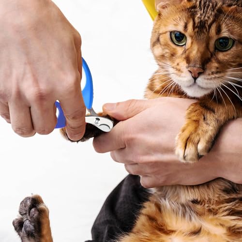 JOY & EMOTION® SUPER KRALLENSCHERE KATZEN, Hunde & Kleintiere | Präzise & Sichere Katzennagelschere für Anfänger | Ergonomisch & Handlich | Rostfreier Stahl, Scharfe Klingen | Profi Krallenpflege