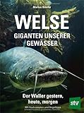 Welse - Giganten unserer Gewässer: Der Waller gestern, heute, morgen