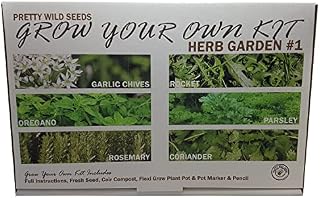 Herb Garden #1 Grow Your Own Kit with Garlic Chives Rosemary Coriander Oregano Rocket & Parsley Seeds Perfect Herbs for Kids & Beginners Schools Gardening Clubs