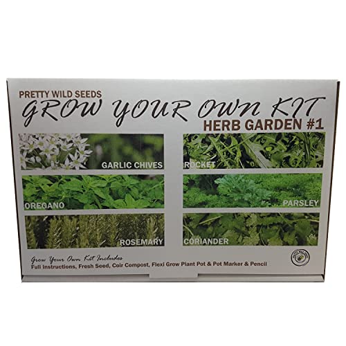 Herb Garden #1 Grow Your Own Kit with Garlic Chives Rosemary Coriander Oregano Rocket & Parsley Seeds Perfect Herbs for Kids & Beginners Schools Gardening Clubs