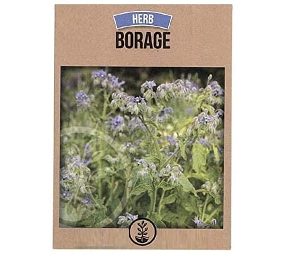 VibeX Medicinal Herb Seed Borage-100 Seeds (B0B9Y5TZGK) Amazon Price History, Amazon Price Tracker