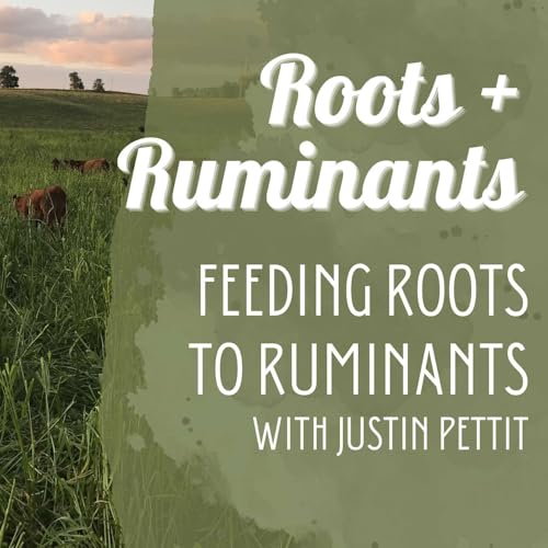 Feeding Roots to Ruminants with Justin Pettit