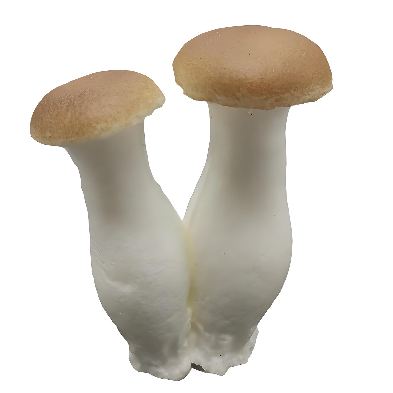 Aqvjd Realistic Simulation Vegetable Artificial White Mushroom Decorative Props for Restaurant Cafes Photography Fraudulent Mushroom Deck