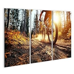 islandburner Cuadro sobre lienzo ciclismo de monta...: Formato incluyendo distancia: 130 x 80 cm – 3 piezas Muchas imágenes seleccionadas en diferentes formatos. Simplemente escriba "islandburner" + el motivo deseado en la barra de búsqueda de Amazon arriba. Nuestra colección actual incluye una variedad ...