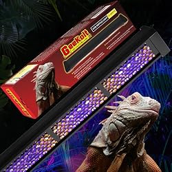 GeeKoit 12-Inch UVB Reptile Light,4H/8H/12H Timer,3 Modes Lighting,5 Level Brightness, 12W UVA UVB Lamp for Desert Tropical Animals Bearded Dragons Turtle Chameleon Tortoises Gecko Snake Frog