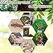 BNOSDM 2PCS Reptile Soil Substrate,Fluffy Small-Strand Reptile Substrate,Natural Terrarium Bioactive Soil Bedding for Snakes, Lizards, Tortoises Tarantulas,Lizards