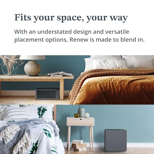 Image of Airthings Renew - smart air purifier ideal for bedroom and baby room with HEPA-13 & charcoal filters - Portable with PM sensor and filters for allergies, dust removal, pet hair, smoke