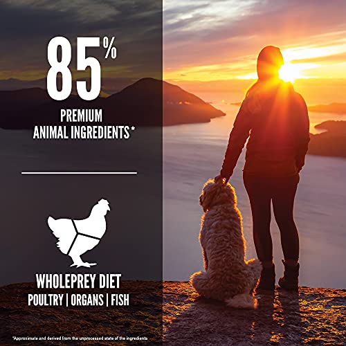 ORIJEN Dog Senior Recipe, 25lb, High-Protein Grain-Free Senior Dry Dog Food, Packaging May Vary - Image 4