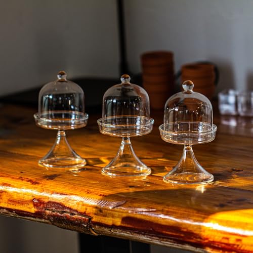 NCYP (3 Pack 7x7x12,8 cm Mini Cloche en Verre avec Support et Petit Pot de Fleurs en Acrylique pour Exposer Bijoux, Bagues, Petites Plantes, Décoration...