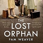 Cover of The Lost Orphan