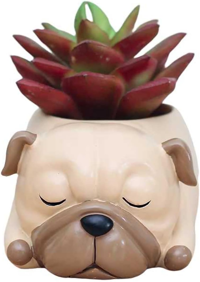 Succulent Pots,Cute Animal Pug Dog Shaped Air Plant Holder Flower Planters-Plants Not in Included