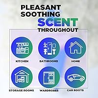 Aromahpure Camphor Cube – 100% Pure & Organic Camphor Cone for Car, Room And Bathroom Fresheners ...