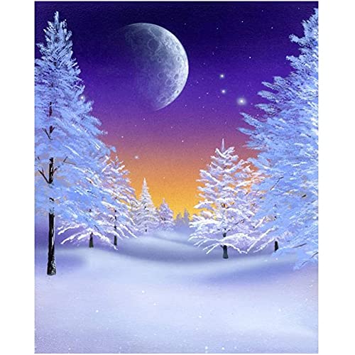 Peinture diamant grand format forêt sous la neige kit complet relaxation