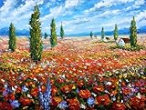 Livré avec support mural adrium Tableau composite en aluminium 40 x 30 cm : champ de peinture à fleurs avec coquelicots rouges. Peinture à l\'huile originale de fleurs, belles fleurs de champs sur toile
