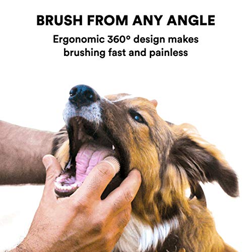 Jasper Dog Toothbrush, 360º Finger Toothbrush Kit, Ergonomic Design, Full Surround Bristles For Easy Teeth Cleaning, Dental Care For Puppies, Cats And Small Pets, Blue 2-Pack #TOP3