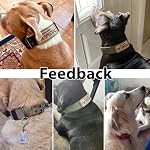 Tactical Dog Collar Military Adjustable Dog Collars Soft Nylon Training Collar with Patch Heavy Duty Metal Buckle Collars for Medium Large Dogs (Black, L) - Image 6