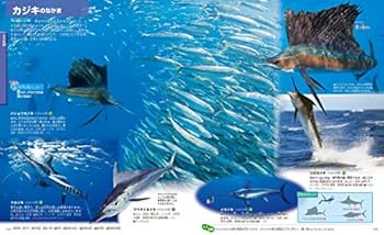 講談社の動く図鑑move 動物 魚 恐竜 昆虫 図鑑 全9巻セット　DVD付き 講談社の動く図鑑move 動物 魚 恐竜 昆虫 図鑑 全9巻セット DVD
