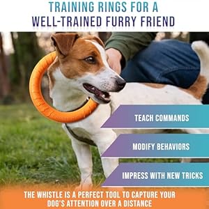   Forest-Twelfth-Set-of-2-Dog-Rings-Dog-Ring-Toy-Set-Agility-Training-Equipment-for-Dogs-Puppies-Outdoor-Dog-Toys-Flying-and-Floating-Dog-Exercise-Equipment-Complete-with-Training-Whistle