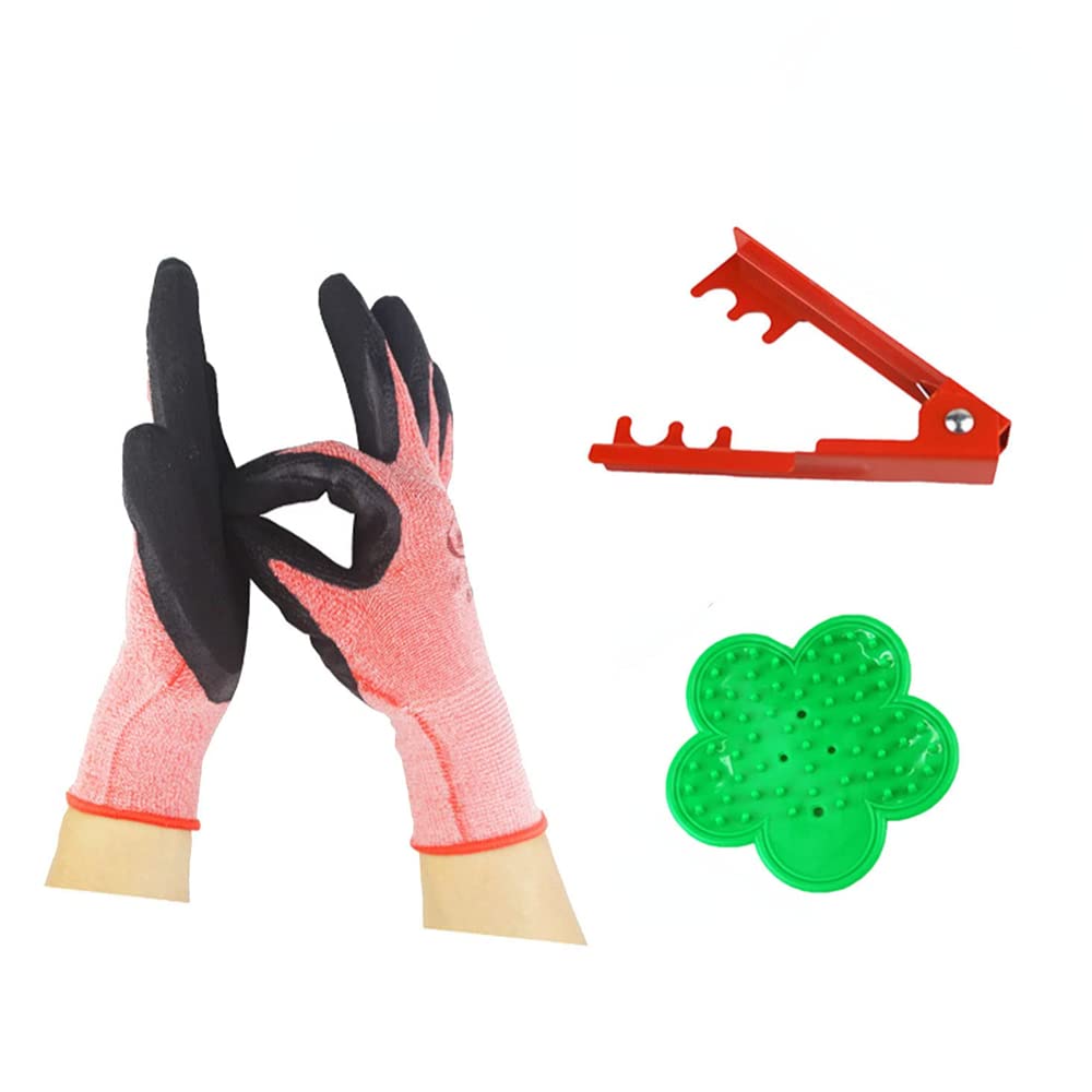 Cranviech 3 Pack Professional Rose Leaf Thorn Stripper Kit, Flower Stripping Tool, Flower Scissors Rose Stripper Thorn Remover Tool, Garden Gloves Set Garden Hand Tool Sets for Roses