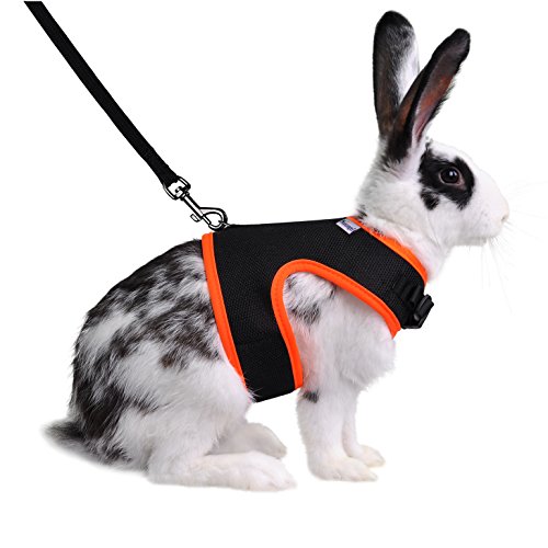 Niteangel Adjustable Soft Harness with Elastic Leash for Rabbits (XL, Black)