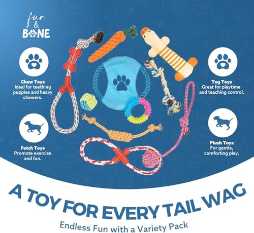 Fur & Bone 10er Set Kauspielzeug Welpe – Welpen Zubehör mit Baumwollseil, Hundespielzeug Quietschend & robustem Hundespielzeug für kleine Hunde – vielseitiges Welpenspielzeug für Training & Spiel