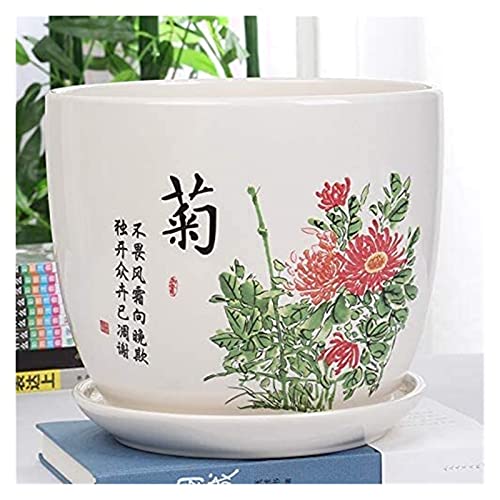 Pot de fleurs intérieur en céramique anti-fuite pour plantes et succulentes
