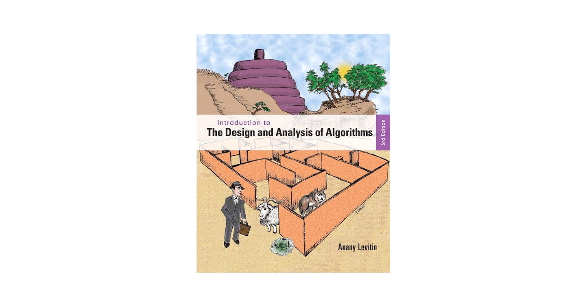 Introduction to the Design and Analysis of Algorithms