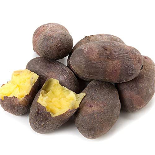 じゃがいも 北海道 グラウンドペチカ 変わった品種 5ｋｇ 産地直送 ジャガイモ 北海道産 デストロイヤーのサムネイル