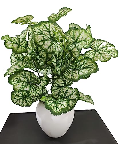Image of Natural Looking Artificial Money Plant /Tree with Pot | Ornamental Plant for Interior Decor | Home /Shop /Office Decor (Off-White)