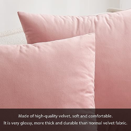 Image of MIULEE Velvet Throw Pillow Covers 12x20 Inch, Pack of 2 - Dusty Pink, Soft Solid Lumbar Decorative Pillow Covers Modern Luxury Home Decor for Spring Couch Sofa Bedroom Livingroom