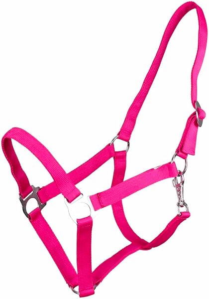 乗馬用品 QHP スライド 無口 ※曳手は付属しません - 5