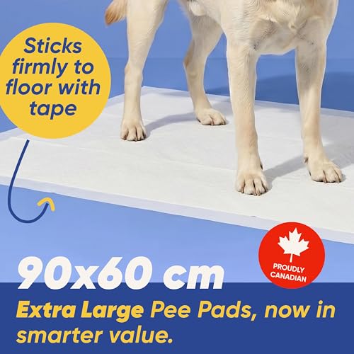 Image of Pet Training Pads Air Series - XL (Pack of 30) | Leakproof Heavy-Absorbent Puppy Pee Pads with Non-Slip Adhesive Tape | Odour Control, Quick-Dry Potty Pads for Dogs (30, 90x60cm)