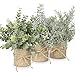 3 Pack Piante artificiali in vaso Faux Green Piante di rosmarino Mini piante artificiali in vasi per la decorazione domestica Indoor Outdoor Tavolo da ufficio Cucina Camera da letto Regalo di Natale