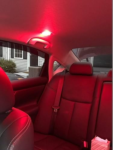 Miniatura 3 de Bombillas LED Festoon