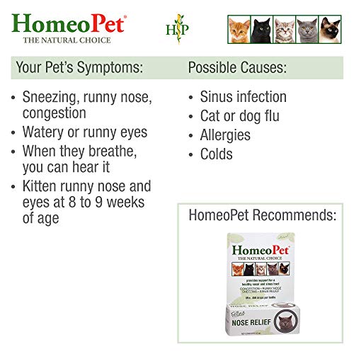 HomeoPet Feline Nose Relief Natural Pet Medicine, Nasal and Sinus-Tract Support for Cats of All Ages, 15 Milliliters - Image 4