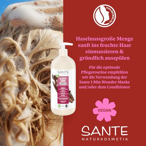 SANTE Naturkosmetik Glossy Shine Shampoo - 950 ml - mit Bio-Birkenblatt & 3-Fach Protein Komplex - für glanzloses Haar - silikonfrei & vegan - dermatologisch getestet