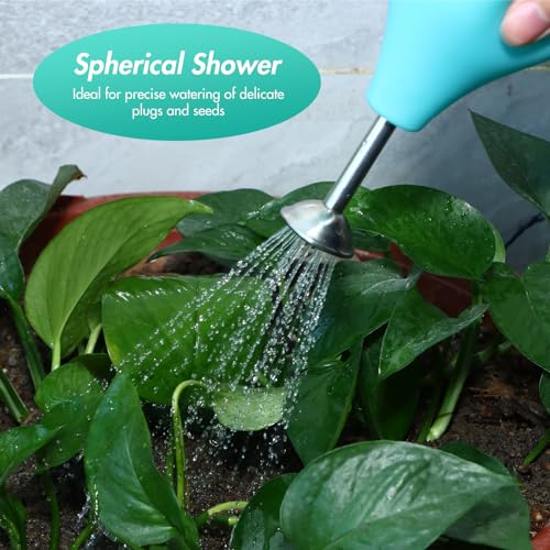 SUNJULY Ballbrause Anzucht 230ml, Ballbrause für Pflanzen, Silikon Bewässerung Sprinkler Kugel mit Edelstahl Düse, Pflanzen Blumen Sprüher für Gießen Samen Bonsai Empfindliche Pflanzen Stecklinge-Grün