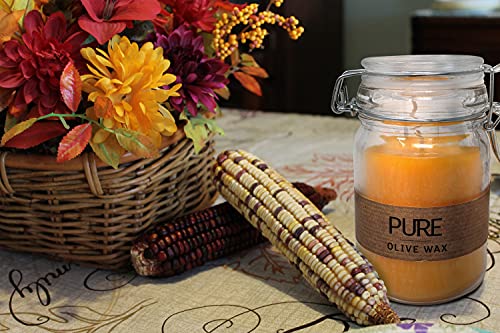 Hyoola Pure Natural Jar Candles - 100% Olive Wax Candles In Glass - Paraffin Free Vegan Candle - Mandarin Orange #TOP3