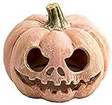 Exo Terra PT2897 Refugio Fluorescente Calabaza