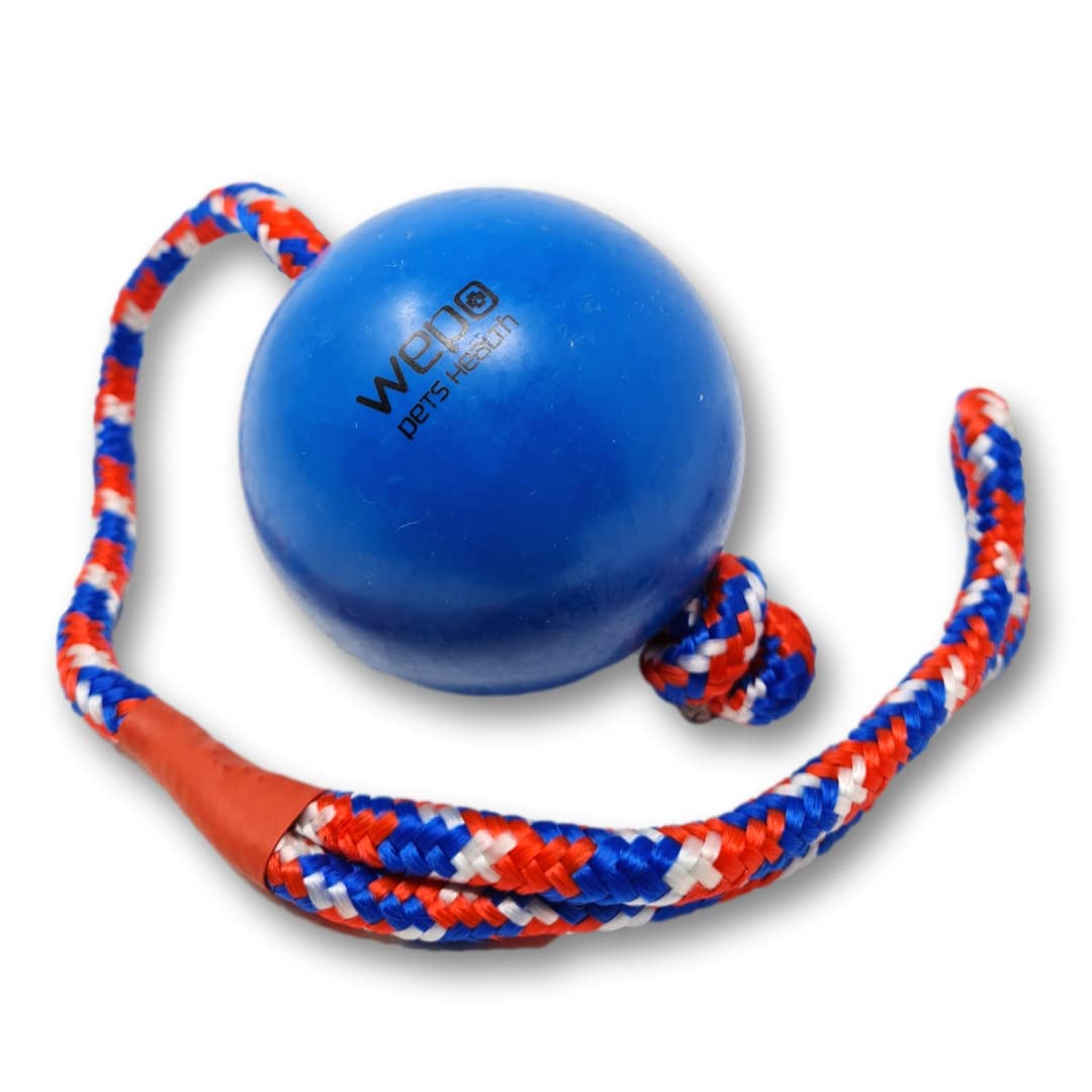 Vrent Hundespielzeug Ball Mit Seil - 90 Cm Quietschend Für Apportieren & Tauziehen