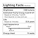 GE Lighting 13187 LED PAR38 Outdoor Light Bulb with Medium Base, 15-Watt, Bright, 1 Count (Pack of 1), Soft White