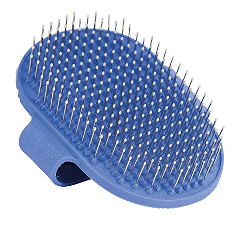Kerbl etrille für Terrier 13 x 8 cm, blau