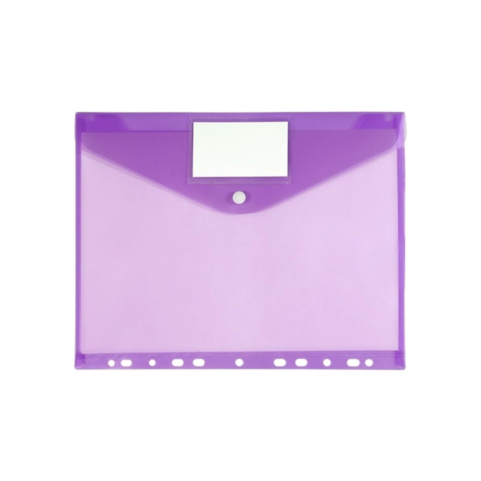 Cartella Trasparente 30 cartelle portadocumenti A4, organizer, 11 fori, espandibili, buste, tasche perforate Per Archivi(Purple)