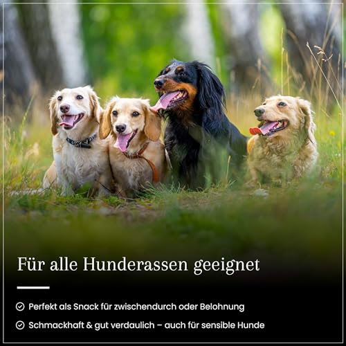 Dog Time Tiernahrung Pansen 500g getrocknet I Gesunder Kausnack aus 100% Rind für Hunde I Hundeleckerli ohne Zucker & Zusatzstoffe