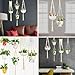 GROWNEER 5 Packs Macrame Plant Hangers with 5 Hooks, Different Tiers Handmade Cotton Rope Hanging Planters Set Flower Pots Holder Stand for Indoor Outdoor Boho Home Decor